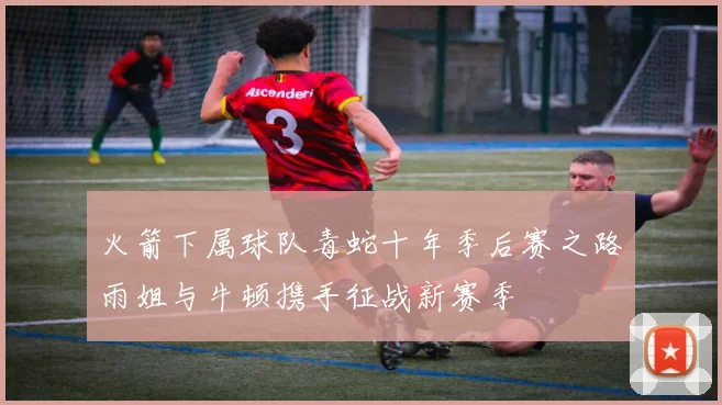 火箭下属球队毒蛇十年季后赛之路雨姐与牛顿携手征战新赛季